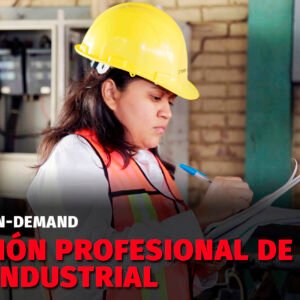 Gestión Profesional de la HYS Industrial